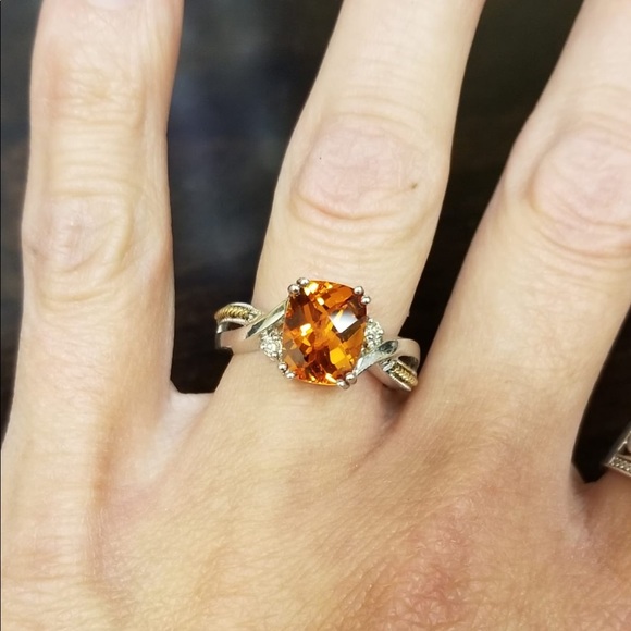 Meet your Posher, Rose - Picture 6 of 8